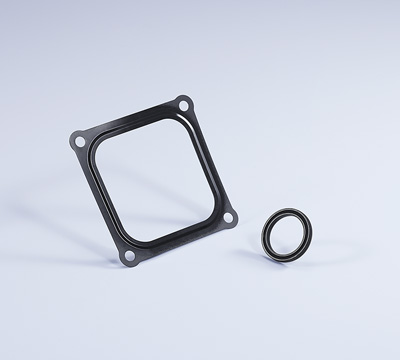 Aluminum-anti-corrosion-coated-seal.jpg
