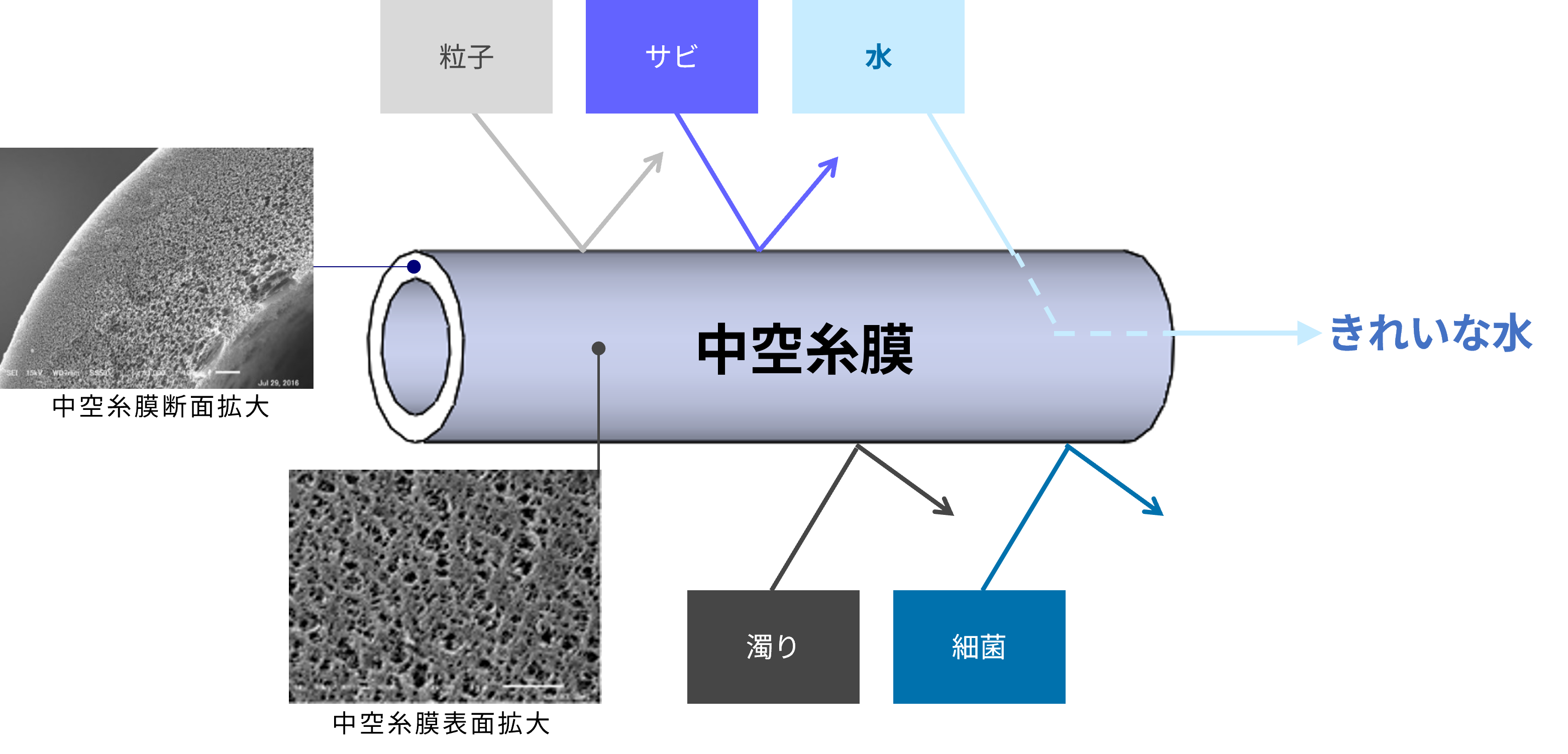 Fiber-Membrane-Modules-for-Water-Purifiers_fig21.jpg