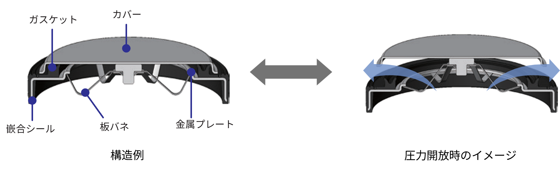 PRV_Largeflowtype_structure4.jpg