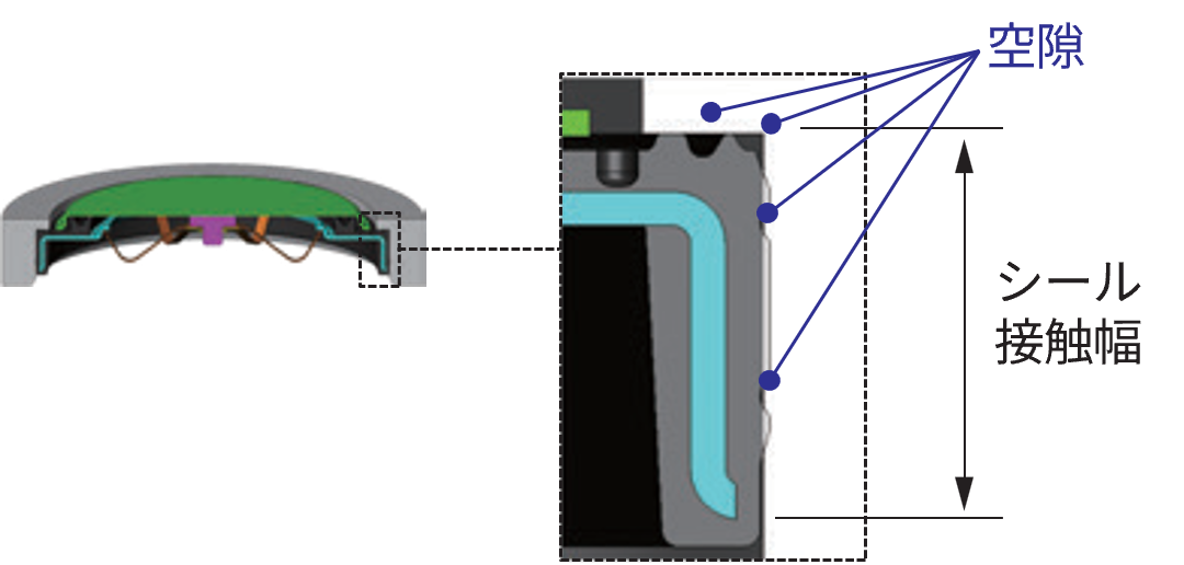 PRV_Largeflowtype_structure4.jpg