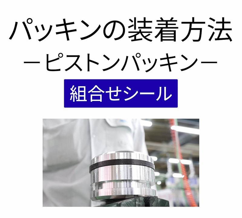 Piston-Packing_Combination-Seal_th.JPG