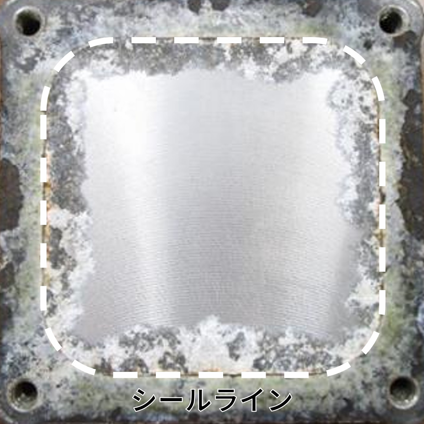 RUSTECTORcoating_fig7.jpg
