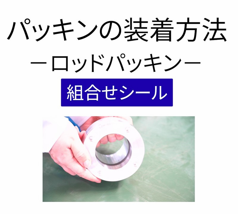 Rod-Packing_Combination-Seal_th.JPG