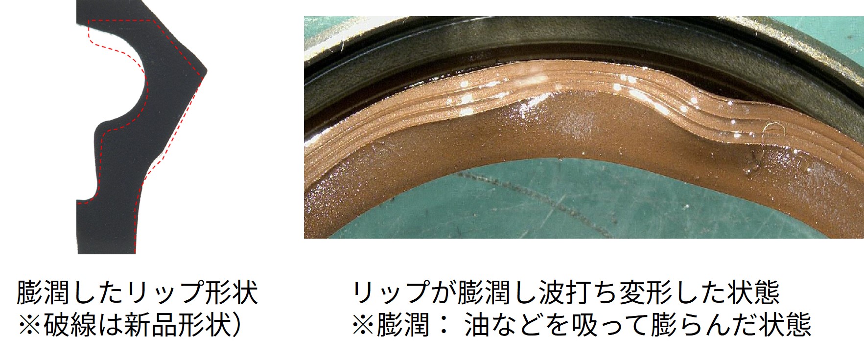 oilseal_trouble_fig21.jpg